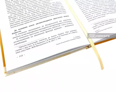 Основи дисциплінарної процедури в Україні Основи дисциплінарної процедури в Україні