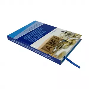 Концептуальні засади методики розслідування легалізації (відмивання) майна, одержаного злочинним шляхом, учиненого злочинним угрупованням Концептуальні засади методики розслідування легалізації (відмивання) майна, одержаного злочинним шляхом, учиненого злочинним угрупованням