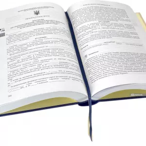 Процесуальні документи сторони обвинувачення під час досудового розслідування Процесуальні документи сторони обвинувачення під час досудового розслідування