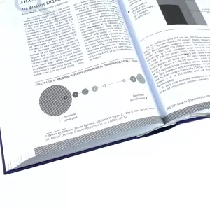 Американська система влади. Повноваження і мета Американська система влади. Повноваження і мета