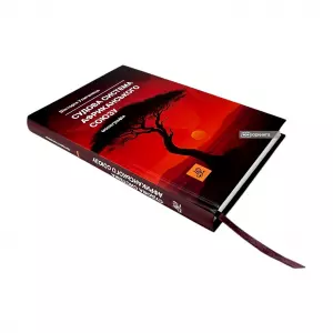 Судова система Африканського Союзу Судова система Африканського Союзу