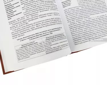 Наскрізні кримінально-правові поняття Наскрізні кримінально-правові поняття