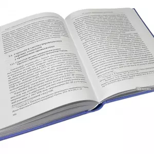 Концептуальні основи цифровізації кримінального провадження України Концептуальні основи цифровізації кримінального провадження України