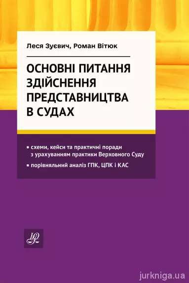 Основні питання здійснення представництва в судах