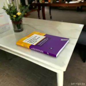 Основні питання здійснення представництва в судах Основні питання здійснення представництва в судах