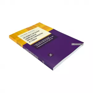 Основні питання здійснення представництва в судах Основні питання здійснення представництва в судах