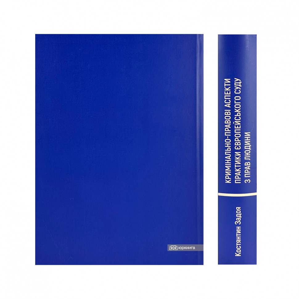 Кримінально-правові аспекти практики Європейського суду з прав людини