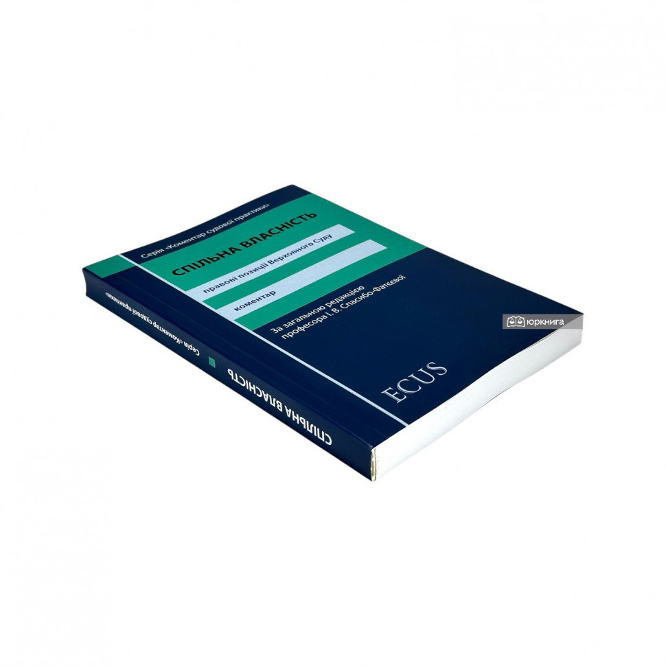 Спільна власність. Правові позиції Верховного Суду. Коментар