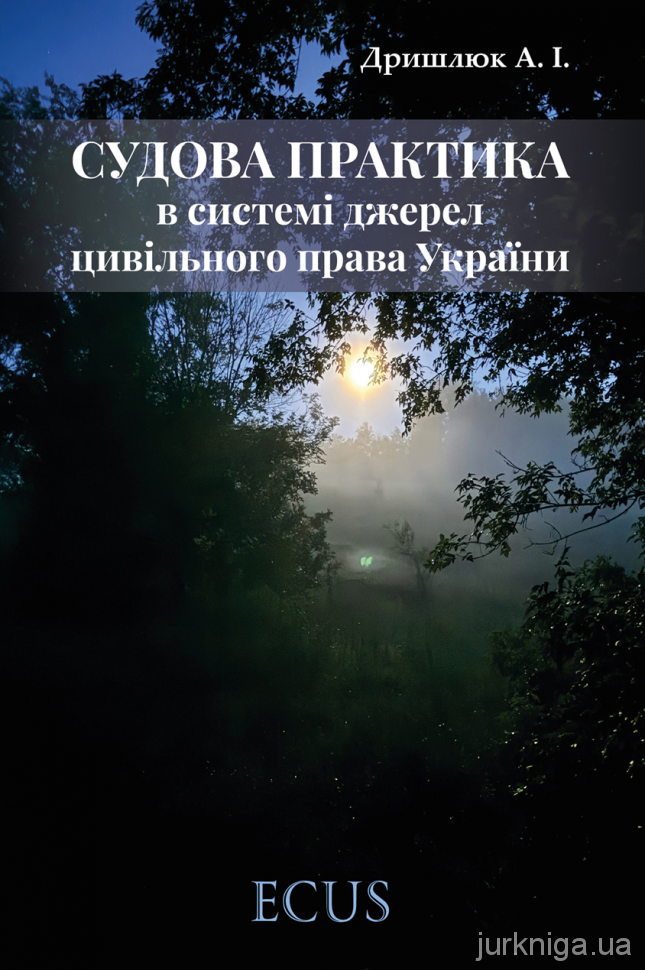 Судова практика в системі джерел цивільного права України