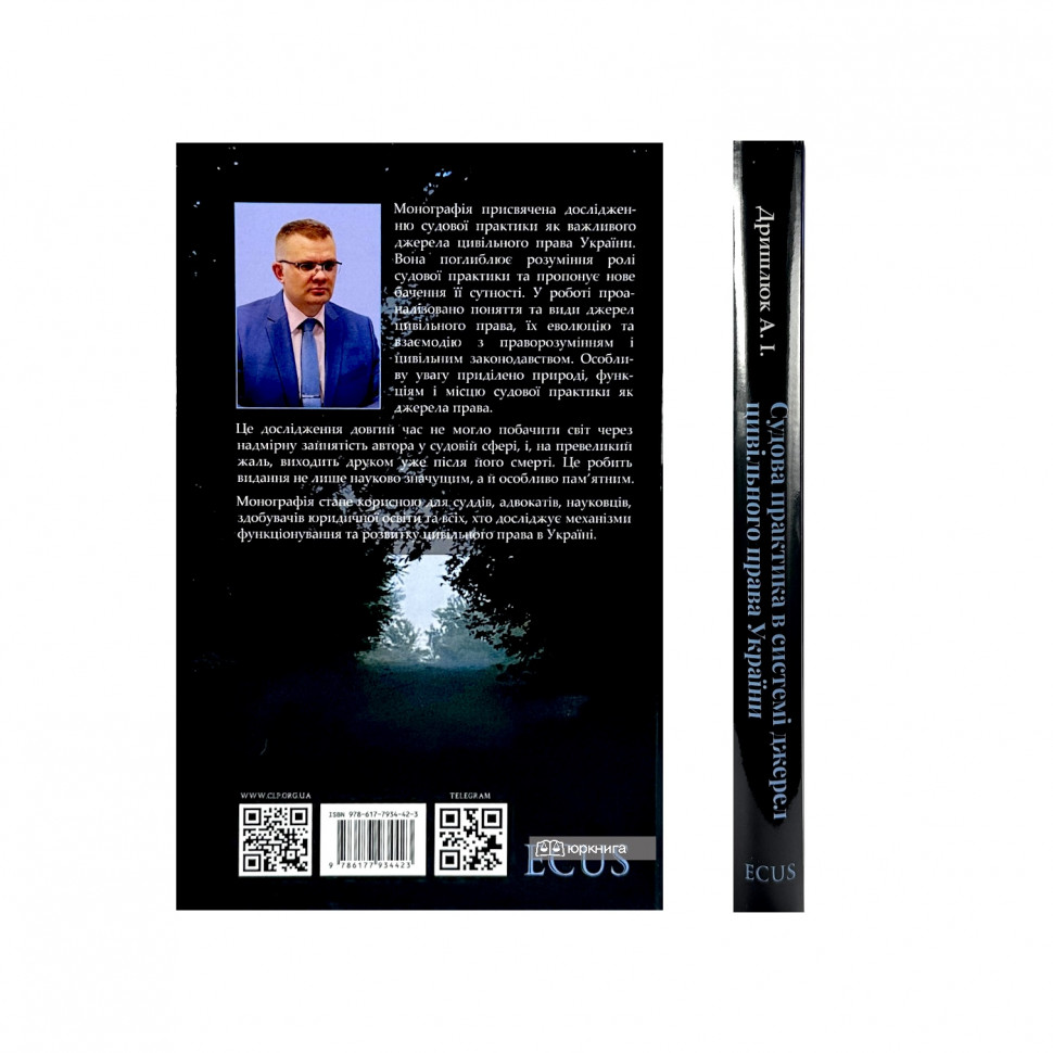 Судова практика в системі джерел цивільного права України