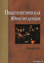 Общетеоретическая юриспруденция: учебный курс